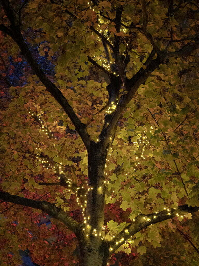 Jólaljós í stórborg